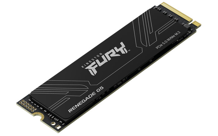 Kingston FURY Renegade G5 SSD interne 2 To M.2 2280