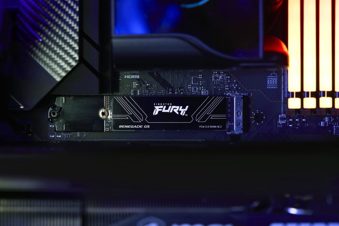 Kingston FURY Renegade G5 SSD interne 2 To M.2 2280