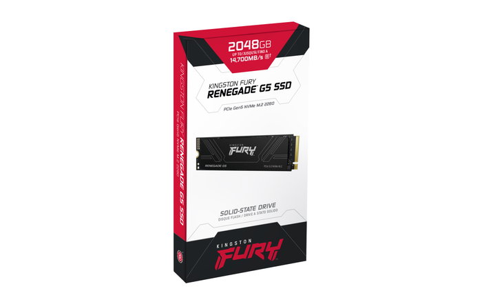 Kingston FURY Renegade G5 SSD interne 2 To M.2 2280