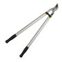 WOLFPACK LINEA PROFESIONAL Ciseaux de taille professionnels forge et aluminium 75 cm