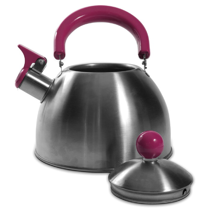 Cook Concept Bouilloire en Acier Inoxydable 1,5 L