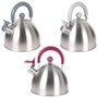 Cook Concept Bouilloire en Acier Inoxydable 1,5 L
