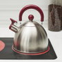 Cook Concept Bouilloire en Acier Inoxydable 1,5 L