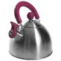 Cook Concept Bouilloire en Acier Inoxydable 1,5 L