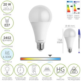 MAURER Ampoule LED Standard E27 20W Lumière Froide 6500K