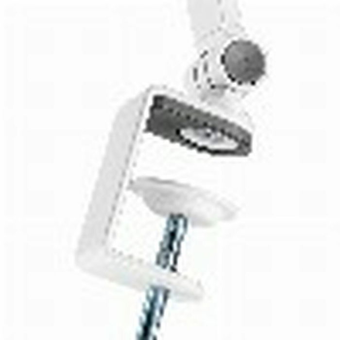 Support mural Neomounts DS15-545WH1 4,7" 12,9"