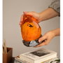 Jurassic Park lampe avec USB-C Amber