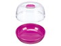 LEKNES Récipient de maintenance pour oignon, lot de 36, Morado-Transparente