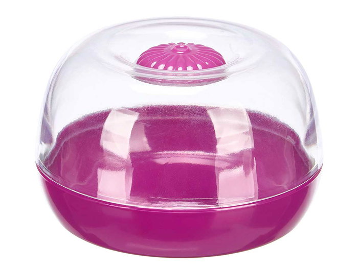 LEKNES Récipient de maintenance pour oignon, lot de 36, Morado-Transparente