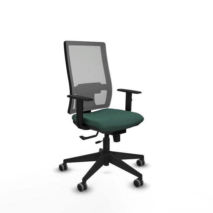 Piqueras y Crespo Chaise de Bureau Horna Vert Bouteille et Gris Piqueras y Crespo Chaise de Bureau Horna Vert Bouteille et Gris