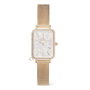 Daniel Wellington DW00100749 Doré Multicolore