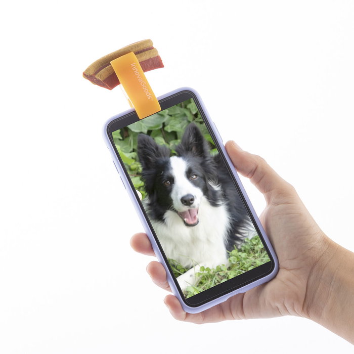 Pack Clip pour Selfies pour Animaux Familiers et Fontaine pour Animaux de Compagnie InnovaGoods