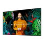 Samsung Écran d'affichage digital QB43C 43 pouces Digital Signage, série QBC, référence LH43QBCEBGCXEN