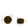BOSCH Sanabelle Adult Poultry 2 kg