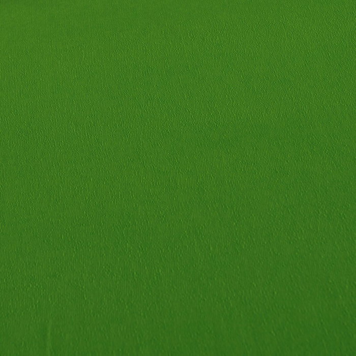 Canson Papier crêpé Canson Standard Vert (10 Unités)
