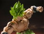 Bandai Tamashii Nations Dragonball Super Broly figurine S.H. Figuarts Super Saiyan Broly Fullpower 22 cm