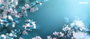 Xerox Cartouche de toner Noir 008R13326 pour C230 et C235