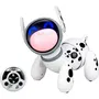 Silverlit Jiggo - Chien robot interactif et radiocommandé avec nez lumineux multicolore - Jouet pour enfants à partir de 5 ans
