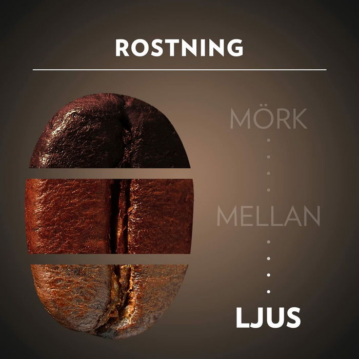 Café en grains Lavazza 5852 1 kg