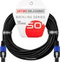 Cableworks Câble Enceinte Speakon/Speakon 15 m