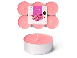 Acorde Lot de 6 Bougies Chauffes-Plat Maxi 9H Orchidée Rose 17,5x2,2x11,8 cm Aluminium Cera (Set de 24)