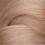 Redken Shades EQ ALK 10NA