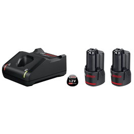 Bosch Professional Pack de 2 batteries GBA 12V 2,0Ah et chargeur GAL 12V-40