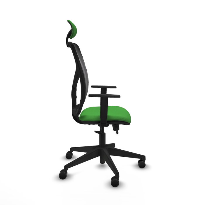 Piqueras Y Crespo Chaise de bureau Motilla, Vert et Noir, Mécanisme Sincro/Traslack