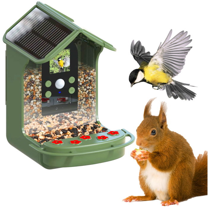 Easypix Bird Cam