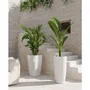 Artevasi Pot de Fleurs Santorini SWS 78 BR - Intérieur/Extérieur - Ø40 x H78 cm - 72 Litres - Plastique Blanc