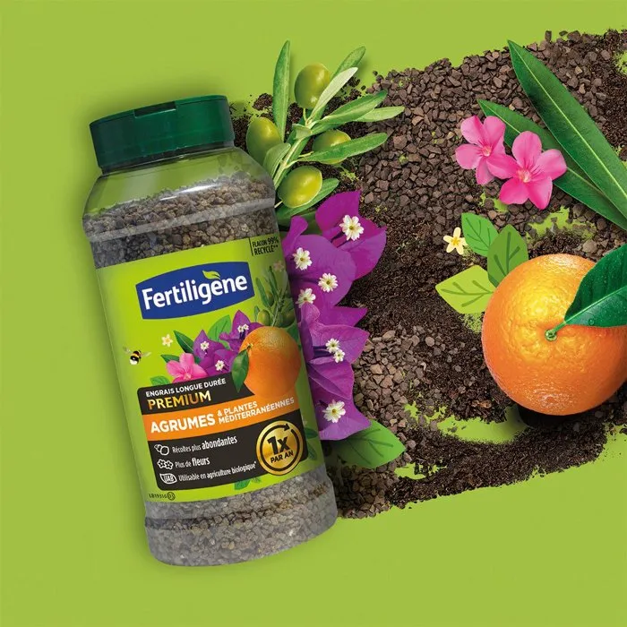 Fertiligene Engrais longue durée premium agrumes et plantes méditerranéennes 600 g Fertiligene Engrais longue durée premium agrumes et plantes méditerranéennes 600 g