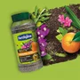 Fertiligene Engrais longue durée premium agrumes et plantes méditerranéennes 600 g