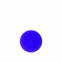Vibrateur G-Spot Evolved Violet