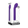 Vibrateur G-Spot Evolved Violet