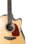 TAKAMINE GD90 E/A Dreadnought Cutaway Natural (Palisandro)