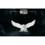 The Noble Collection Sculpture Murale Hedwig Harry Potter 46 cm