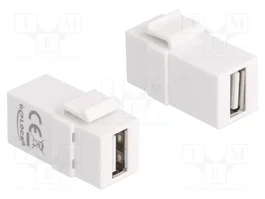 DELOCK Connecteur USB Keystone USB 2.0 blanc
