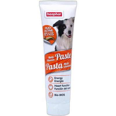 BEAPHAR VET Pâte Multi-Vitaminée pour Chien 100g BEAPHAR VET Pâte Multi-Vitaminée pour Chien 100g