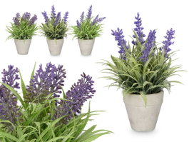 Ibergarden Pot en ciment lavande assorti 15x22x15 cm plastique et liège violet/vert (Set de 24)