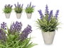 Ibergarden Pot en ciment lavande assorti 15x22x15 cm plastique et liège violet/vert (Set de 24)