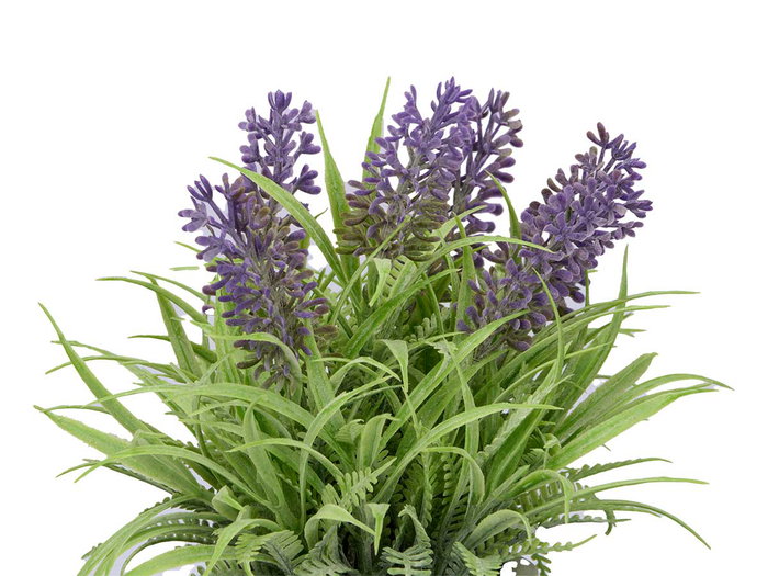 Ibergarden Pot en ciment lavande assorti 15x22x15 cm plastique et liège violet/vert (Set de 24)