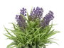 Ibergarden Pot en ciment lavande assorti 15x22x15 cm plastique et liège violet/vert (Set de 24)