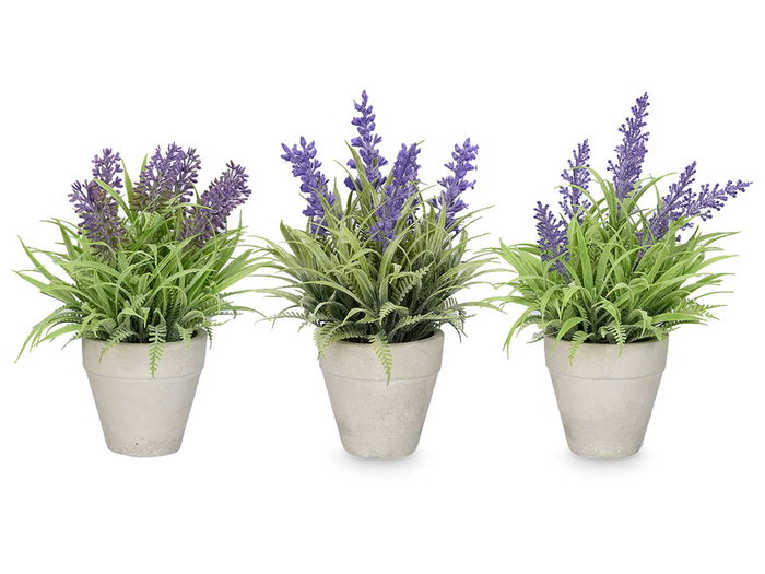 Ibergarden Pot en ciment lavande assorti 15x22x15 cm plastique et liège violet/vert (Set de 24)