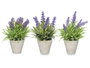 Ibergarden Pot en ciment lavande assorti 15x22x15 cm plastique et liège violet/vert (Set de 24)
