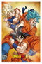 Dragon Ball Super 3D Affiche Champa Goku 38 x 58 cm