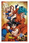 Dragon Ball Super 3D Affiche Champa Goku 38 x 58 cm
