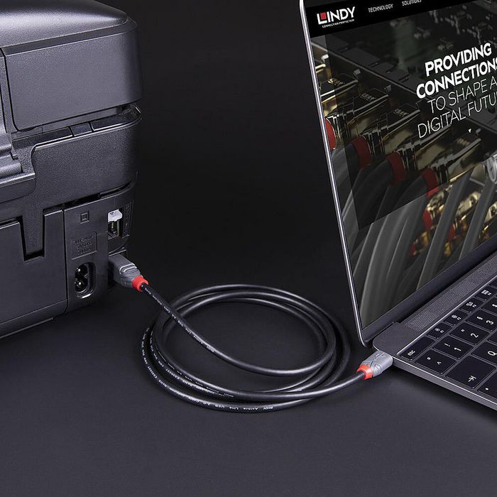 Lindy Câble USB 3.2 Gen 1 Type C vers Type B 1m Anthra Line - 5 Gbit/s, blindage triple, contacts dorés