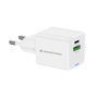 Conceptronic Althea15W Chargeur mural 20W blanc