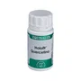 EQUISALUD Holofit Quercetina 50 capsules