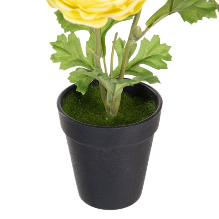 BigBuy Home Plante décorative Fleur Noir, Vert, Orange